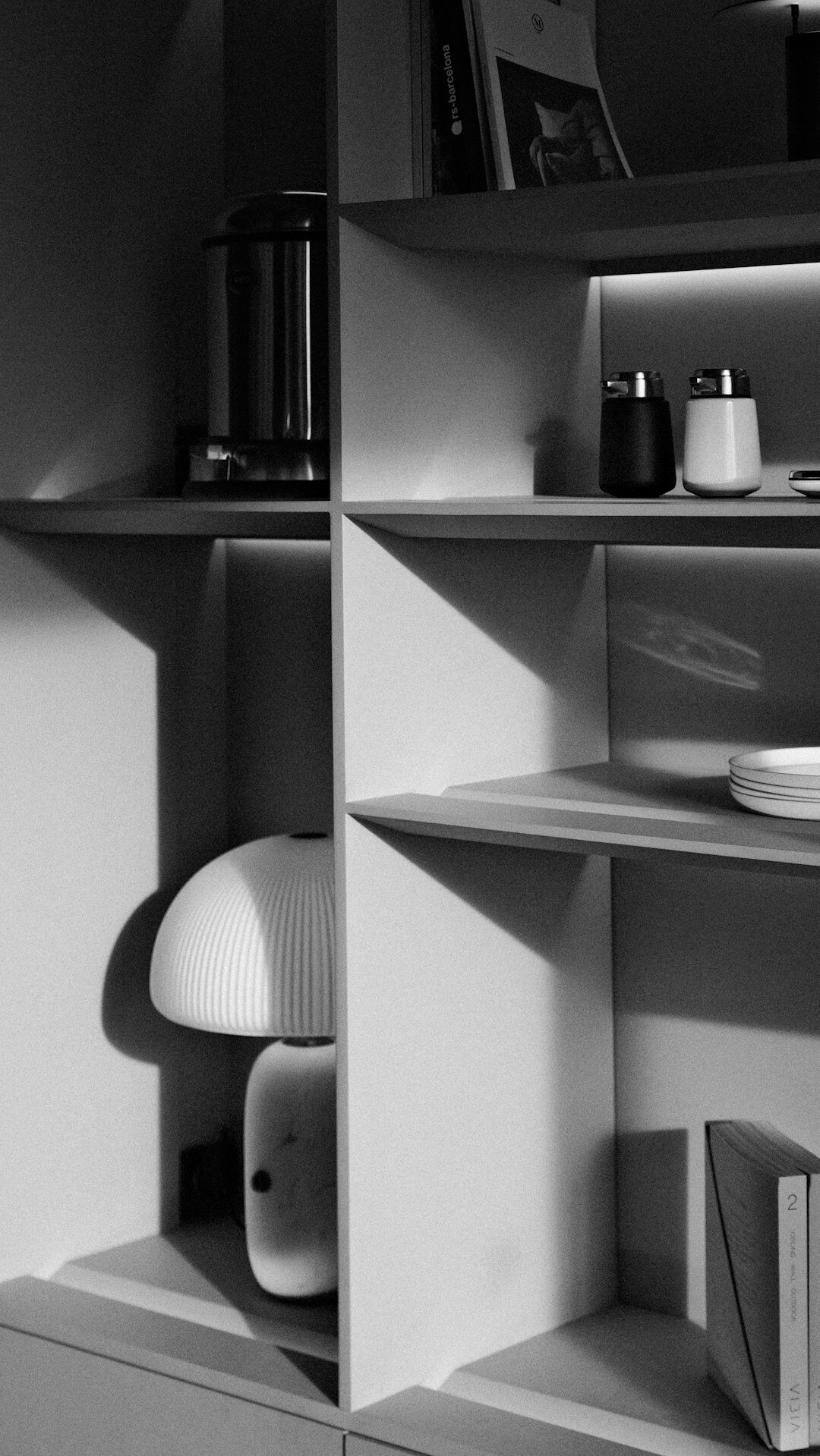 organized kitchen shelves